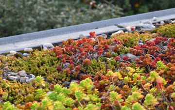 the cost of Stanthorne green roof installation
