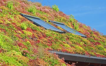Stanthorne living roof systems